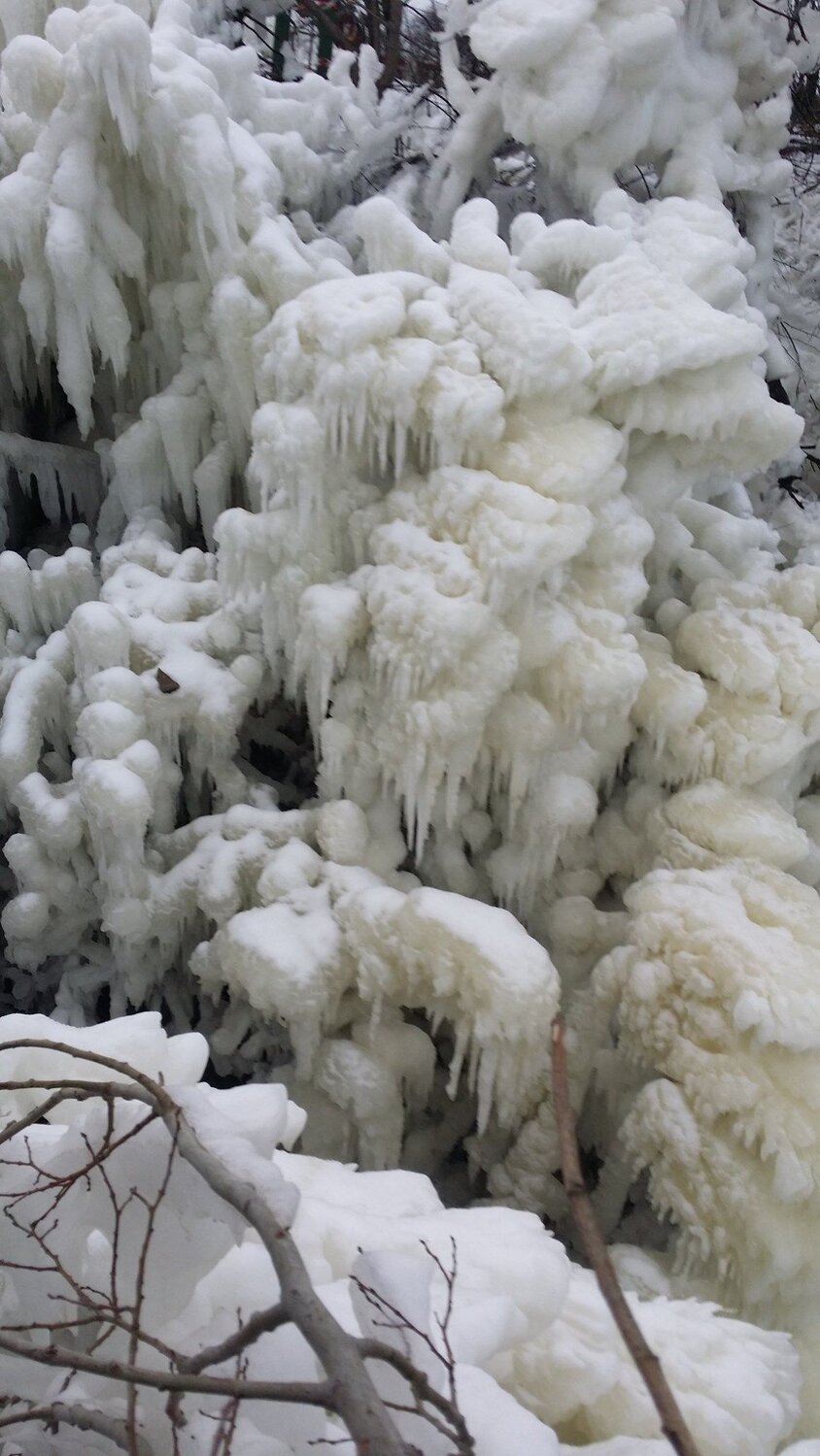 Photo #6966084