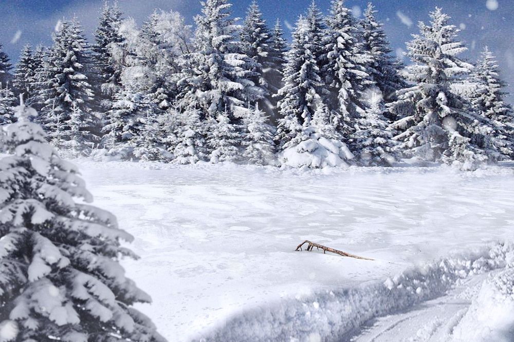 Photograph by Elena Gebert