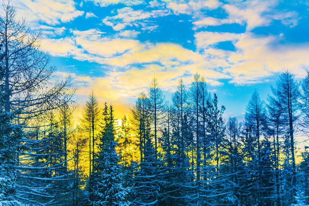 Зимний рассвет