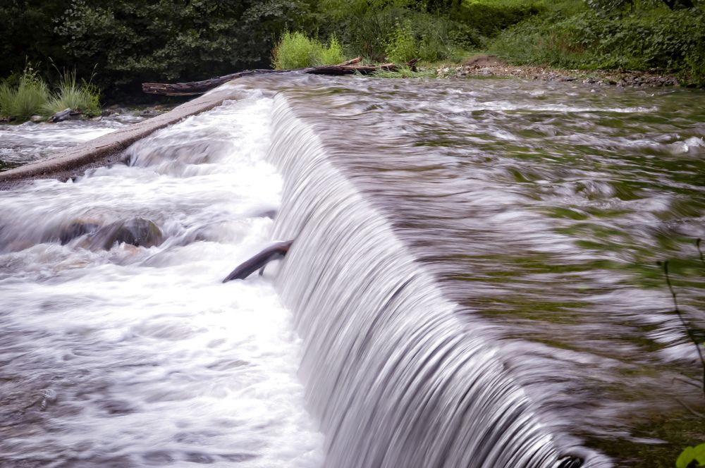 Photograph by Христо Колев