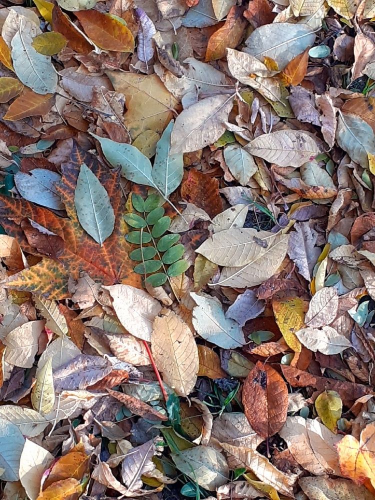 Photograph by Евгения Ульянова