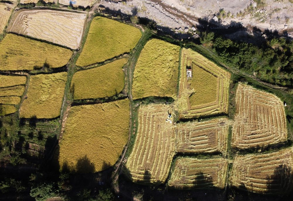 Фотография автора vahid