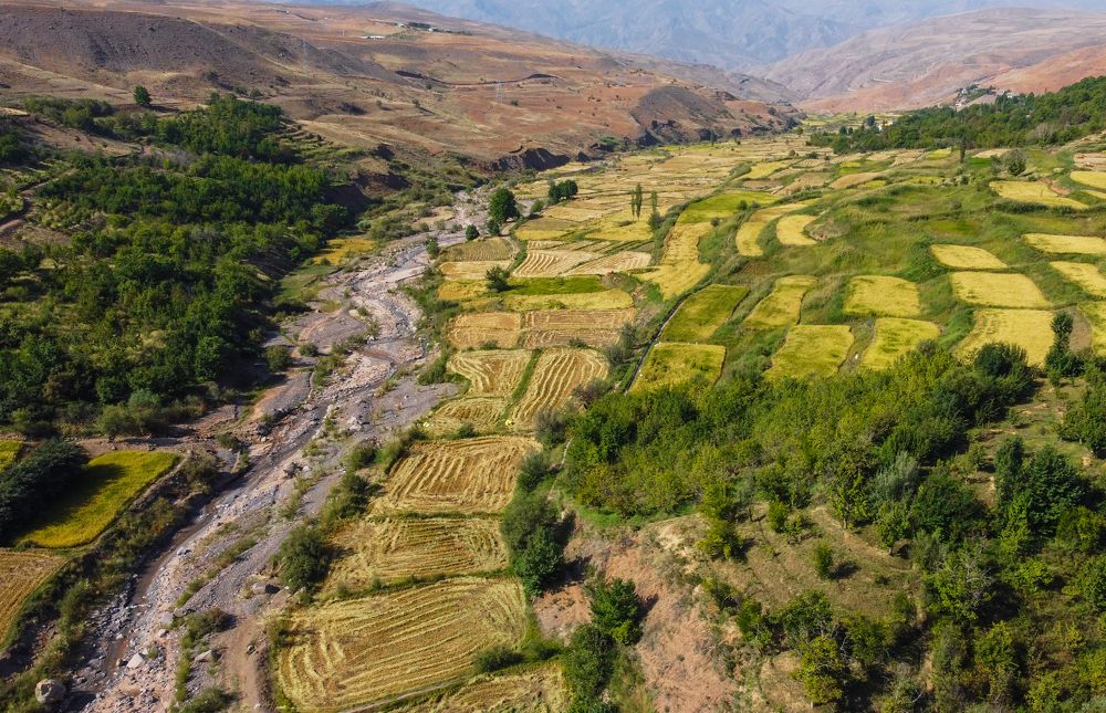 Фотография автора vahid