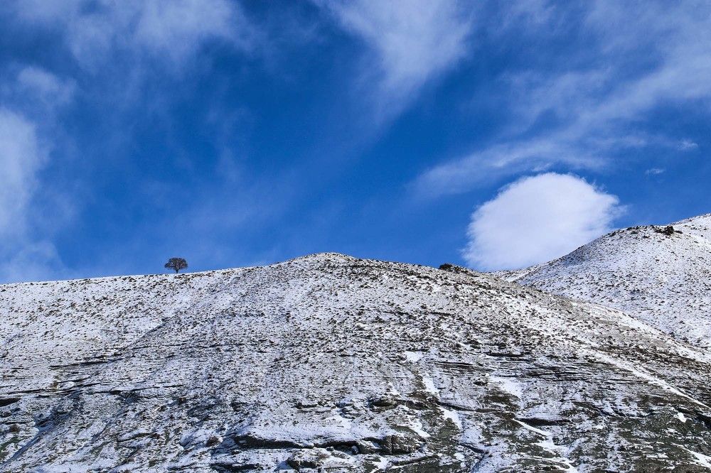 Фотография автора vahid