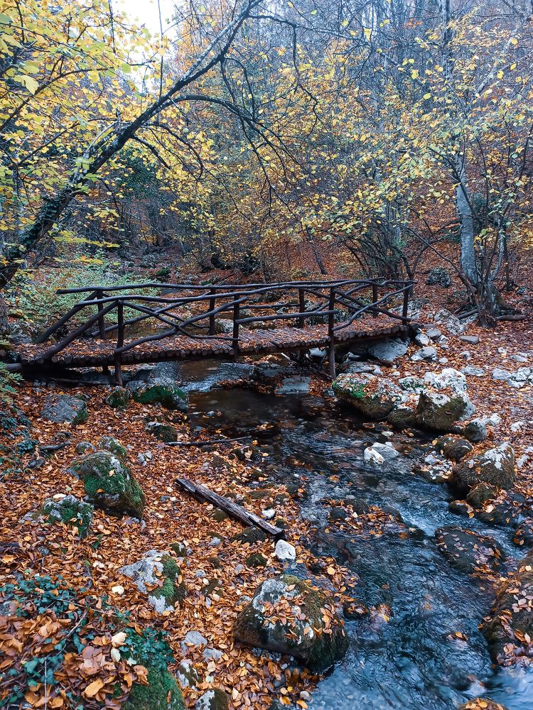 Photograph by Анна Корытина