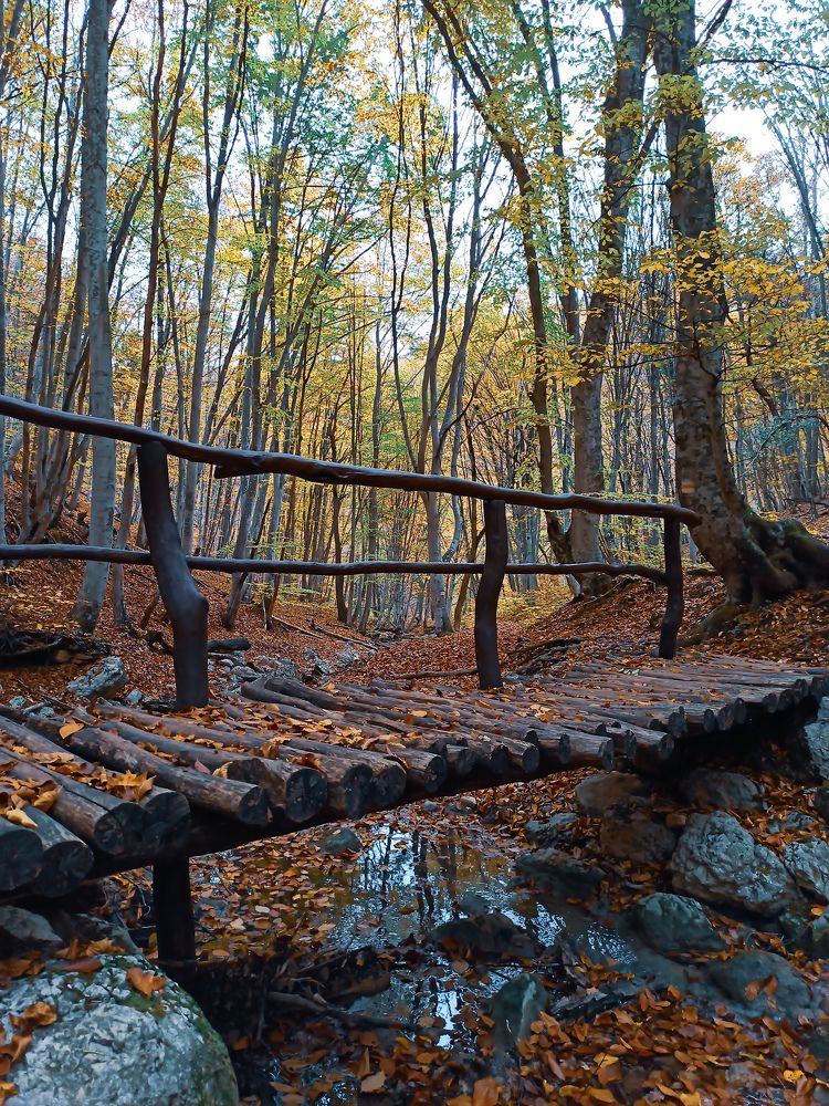 Photograph by Анна Корытина