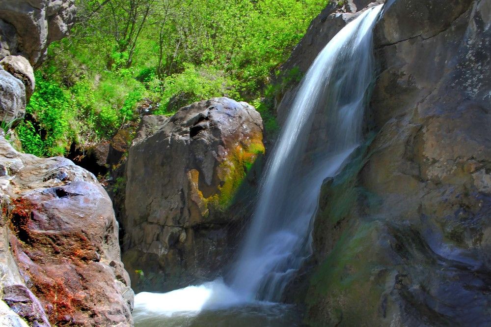 Фотография автора vahid