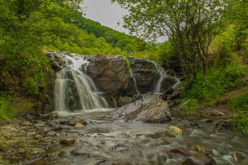 Фотография автора vahid