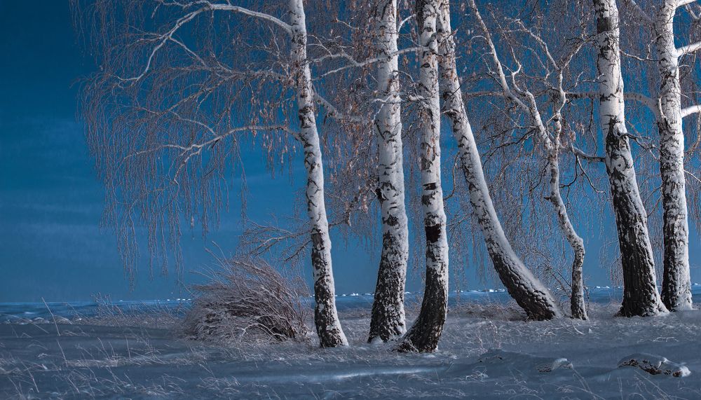 В лунном свете.