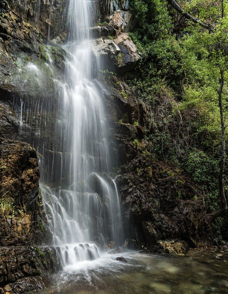 Photograph by Ognyan Levashki