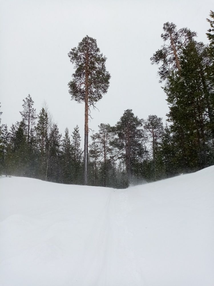 Photo #6966339