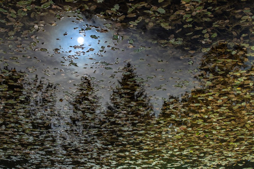 Photograph by Пётр Воронов