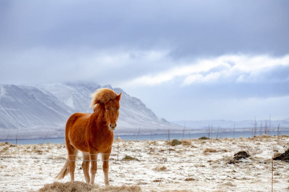 Photograph by Пётр Воронов