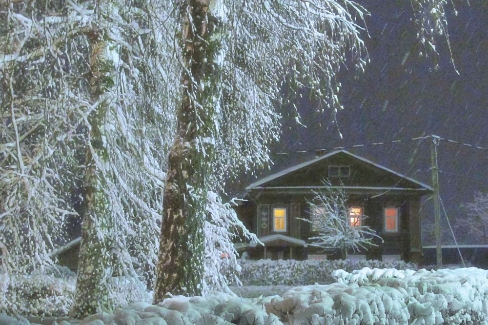 В снежной пелене