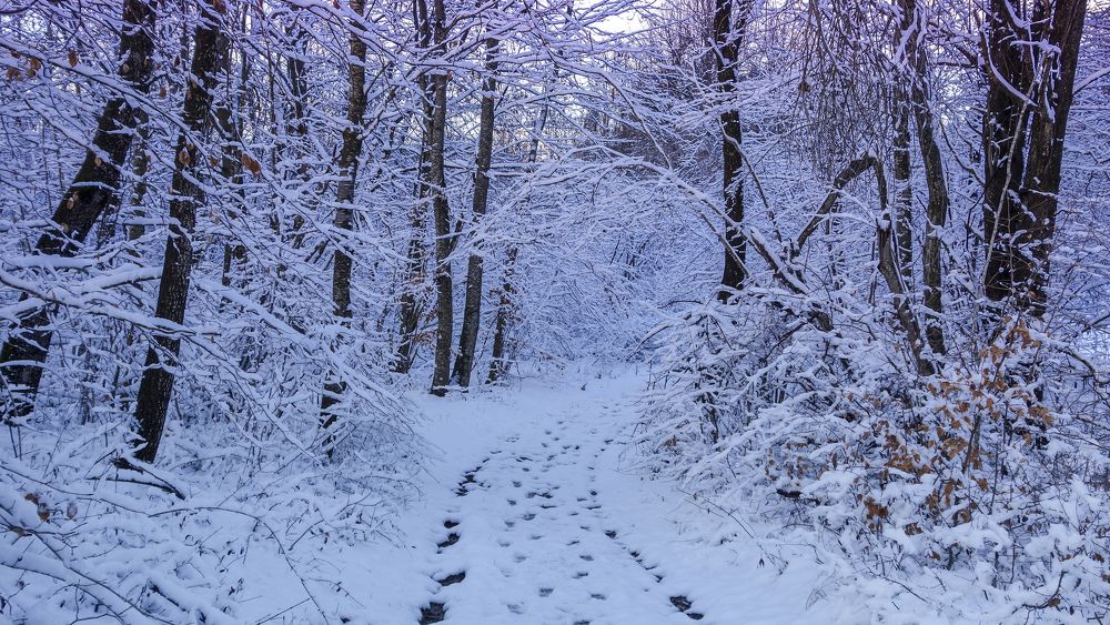 Фотография автора Liliana C.