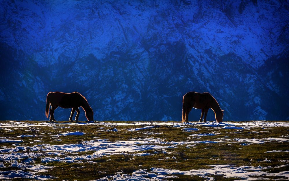 Фотография автора Севак Асрян