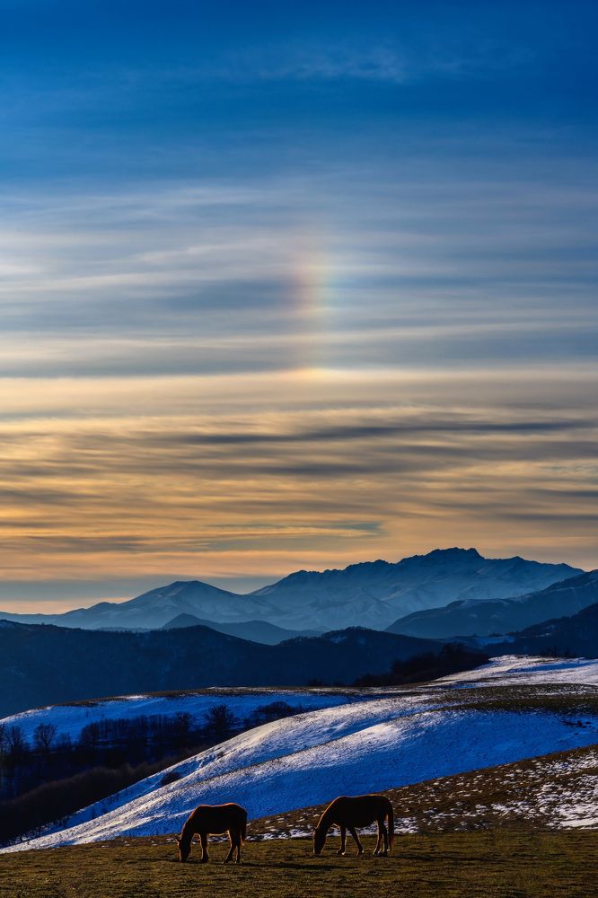 Фотография автора Севак Асрян