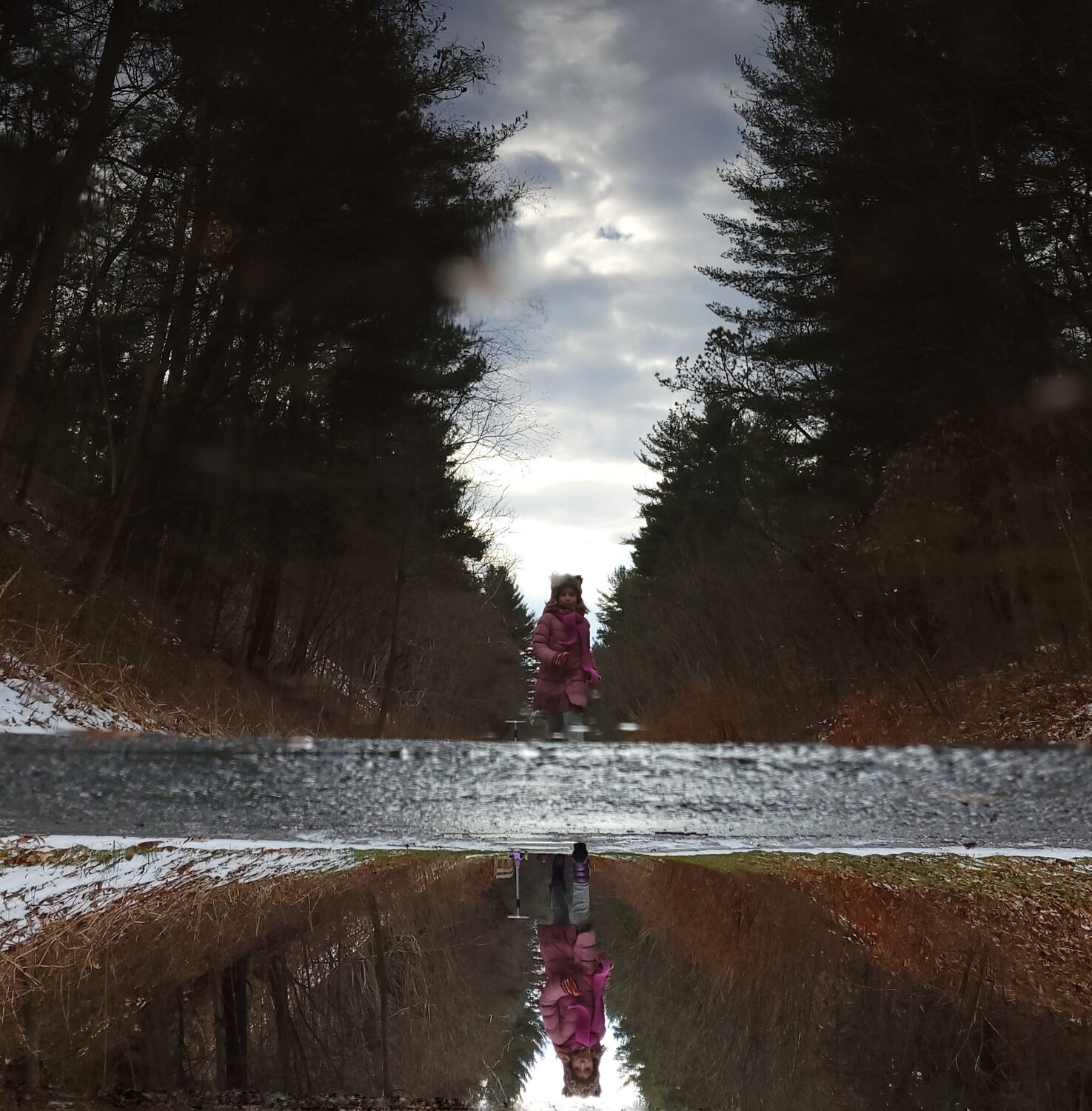 Photo #6966582