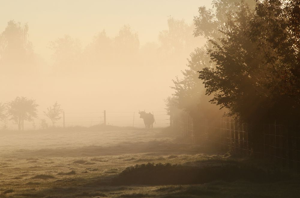 Photograph by Gabriella Szabo