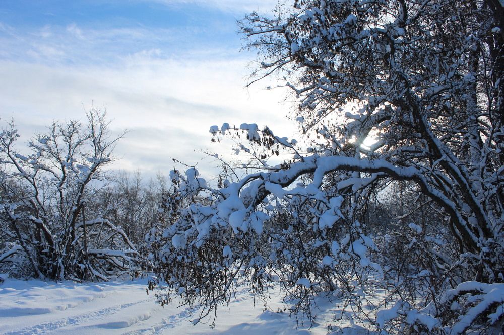 Photograph by Елена