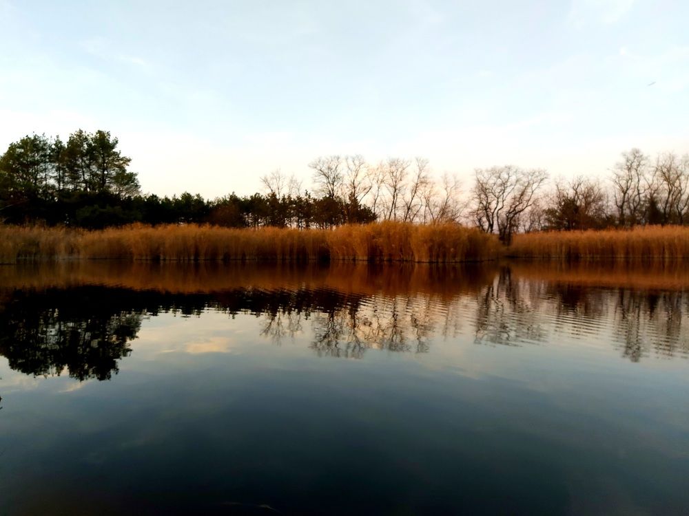 Photograph by Оксана Боднарчук