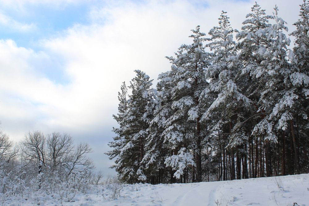 Photograph by Елена