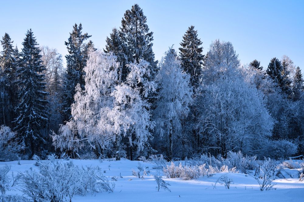 Photograph by Надежда Дорошенко