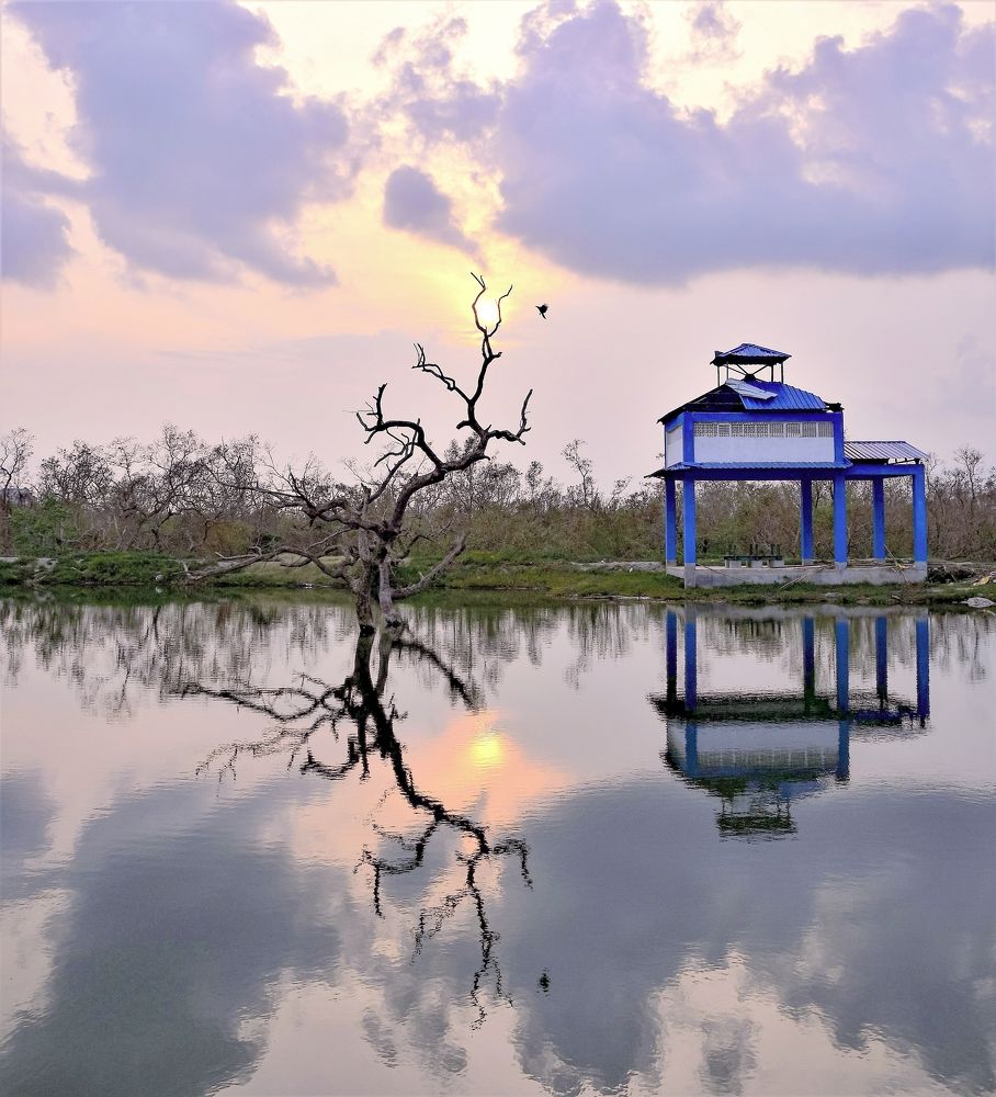 Фотография автора Saikat Mukherjee