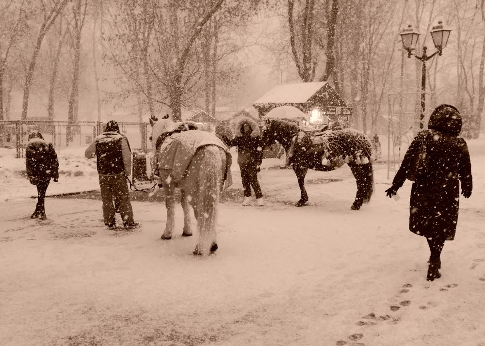 Photograph by Андрей Царев