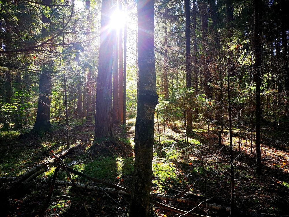 Photograph by Екатерина