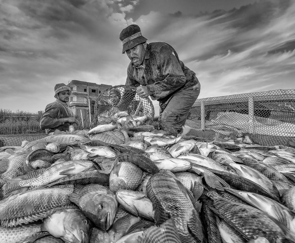 Photograph by Wael Kamal eldin