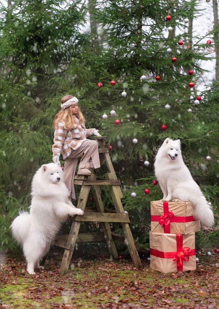 Photograph by Владимир Гордеев