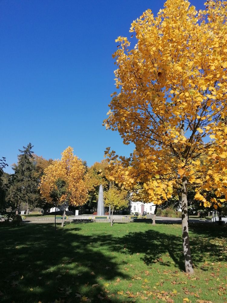 Фотография автора Danica Utjesinovic