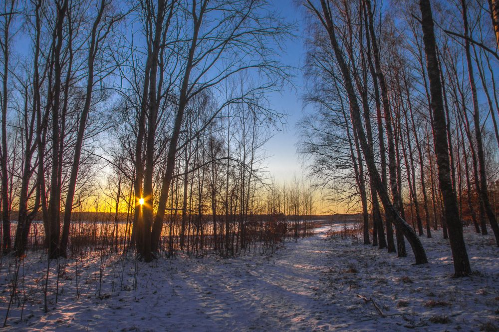 Морозное утро 1