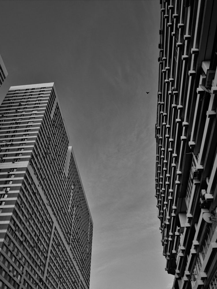 Северное чертаново