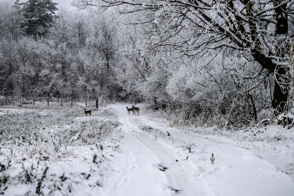 Photograph by Robert Woźniak