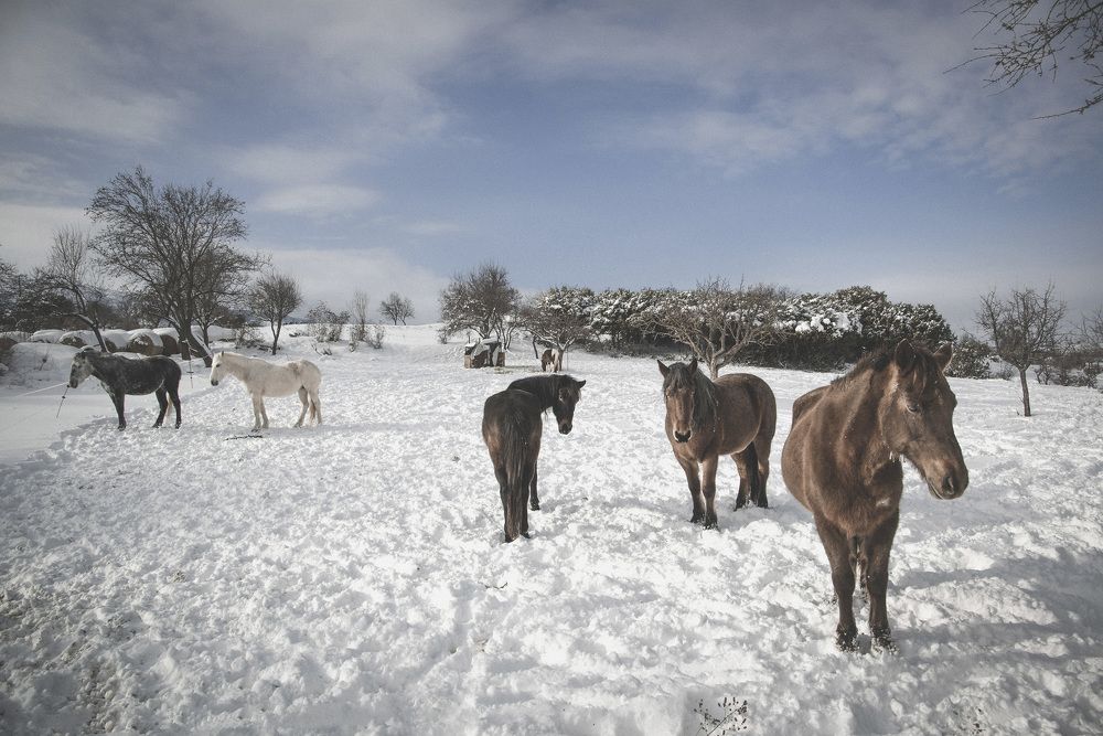 Photograph by Dimitris Vavliaras