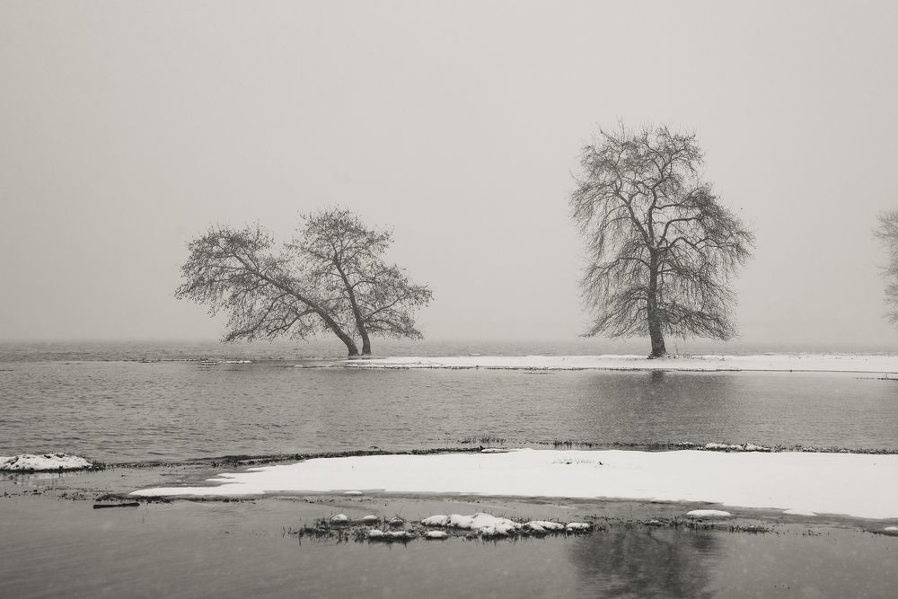 Photograph by Dimitris Vavliaras