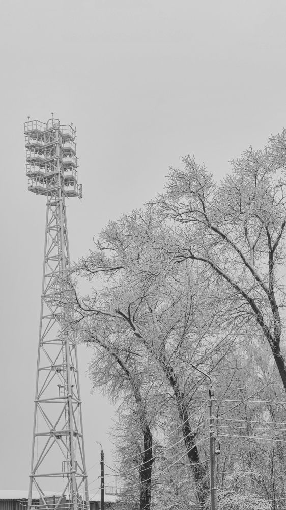 Photograph by Анна Санфирова