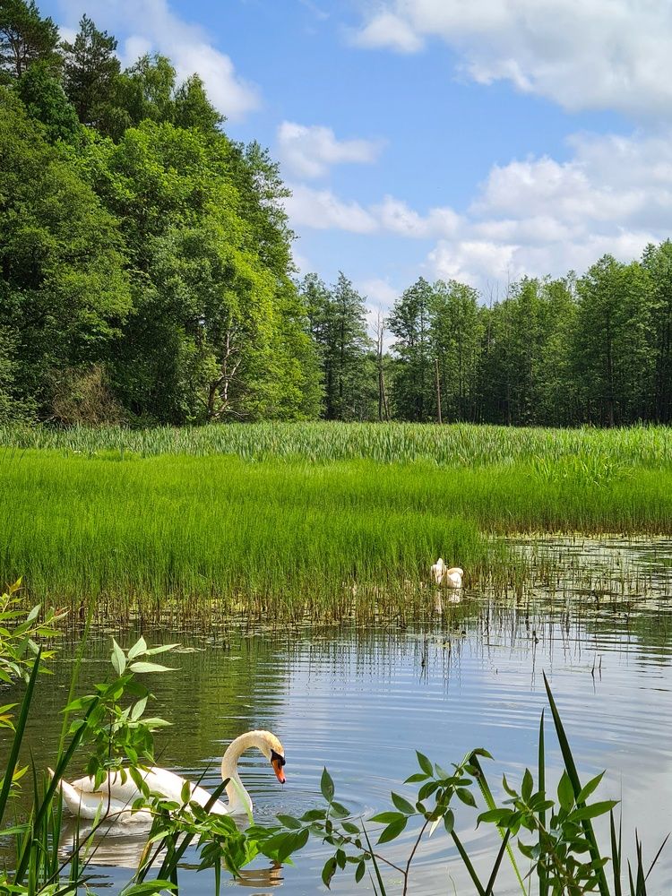 Photograph by Татьяна Соколовская