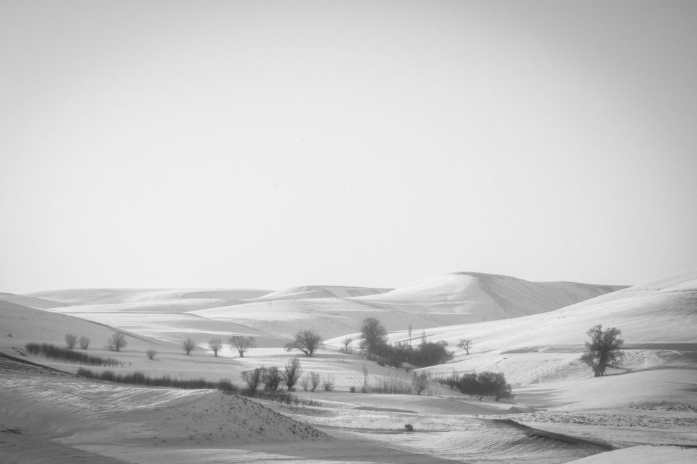 Фотография автора Sadegh Amiri Hanzaki