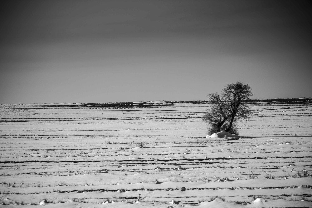 Фотография автора Sadegh Amiri Hanzaki