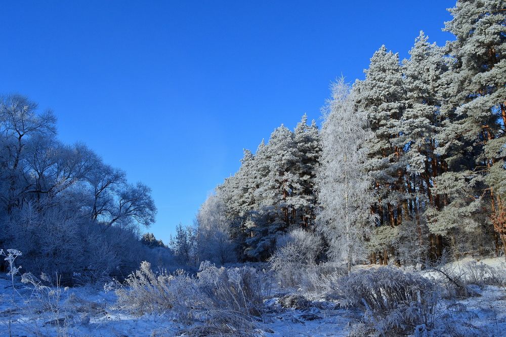 Photograph by Андрей Москалев