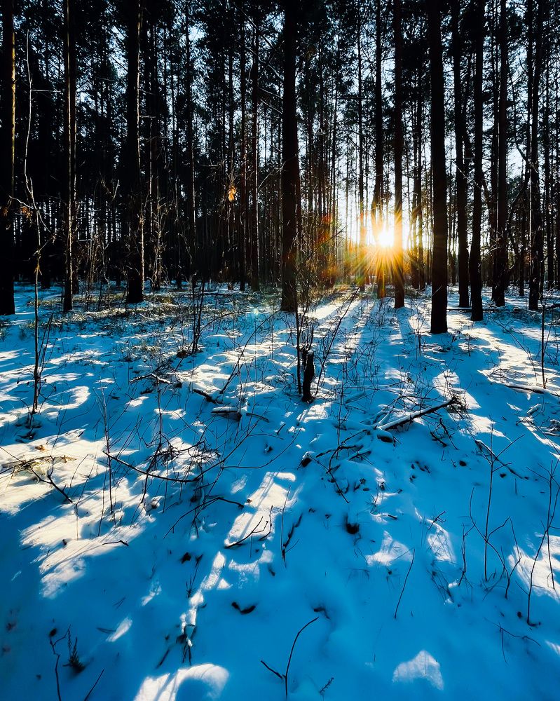 Photograph by Марина Тверитнева