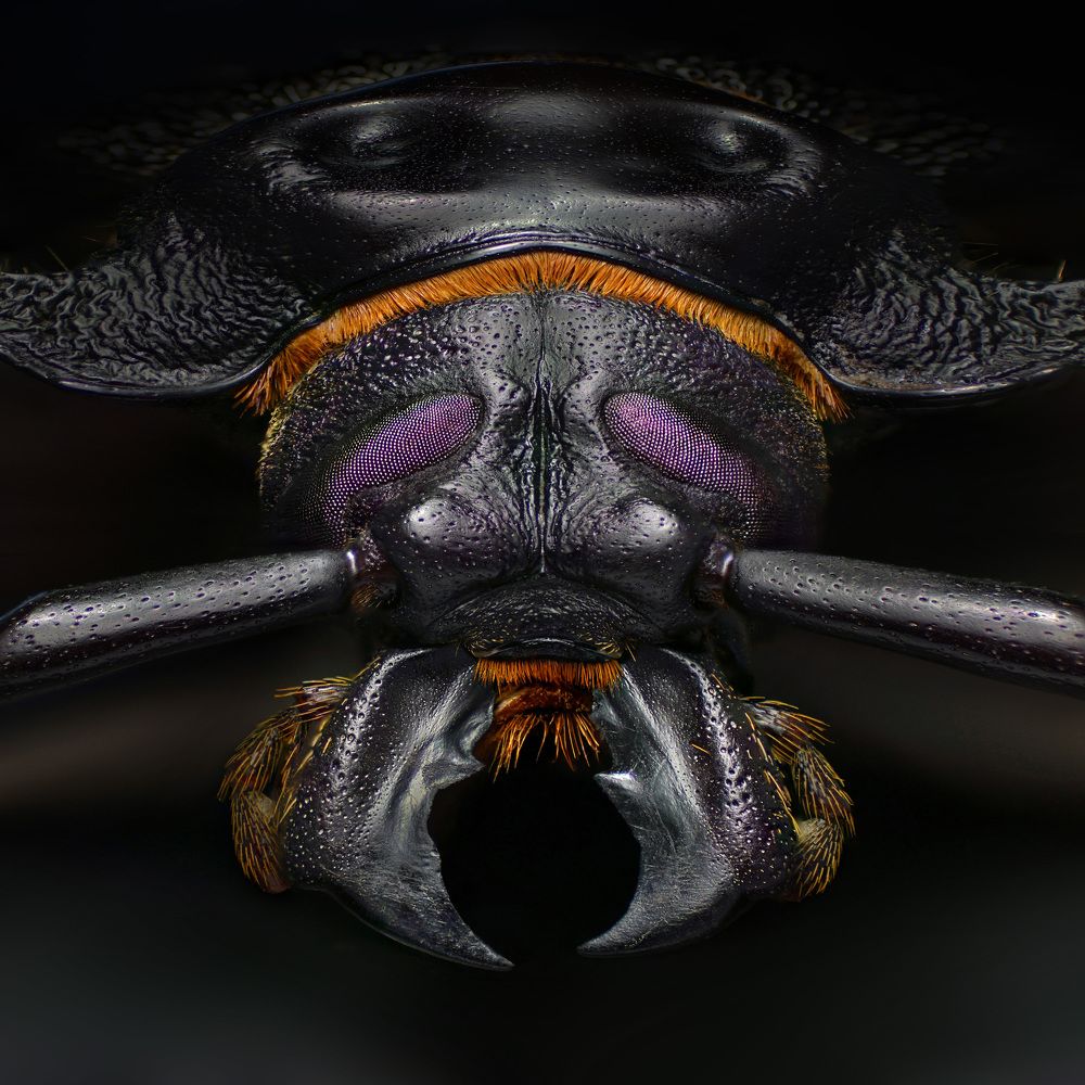 Photograph by Eduardo Modolo