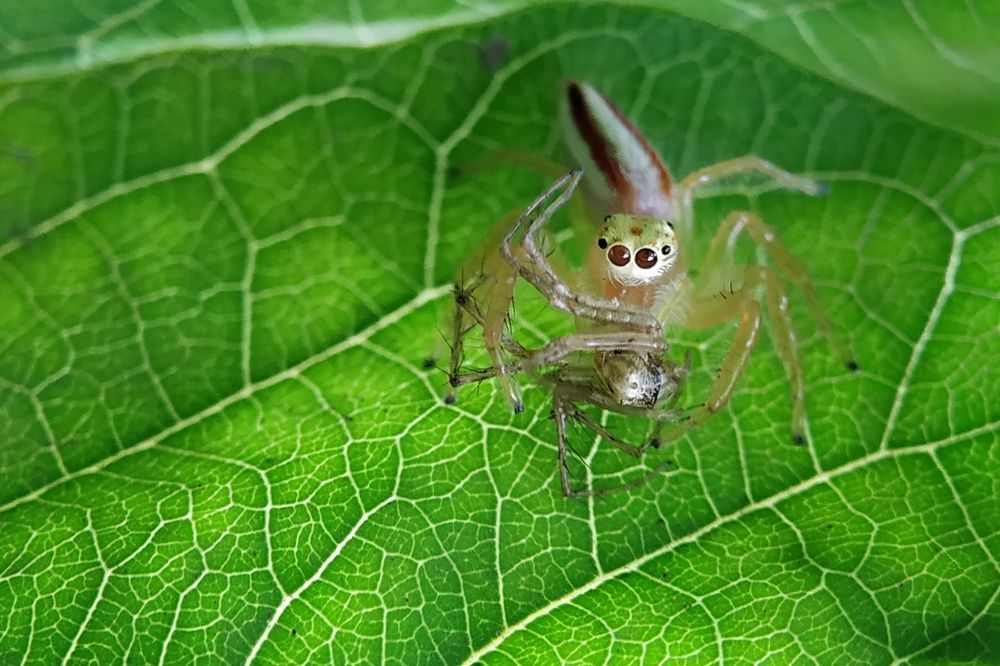 Фотография автора SK Shahbaj Ahmed