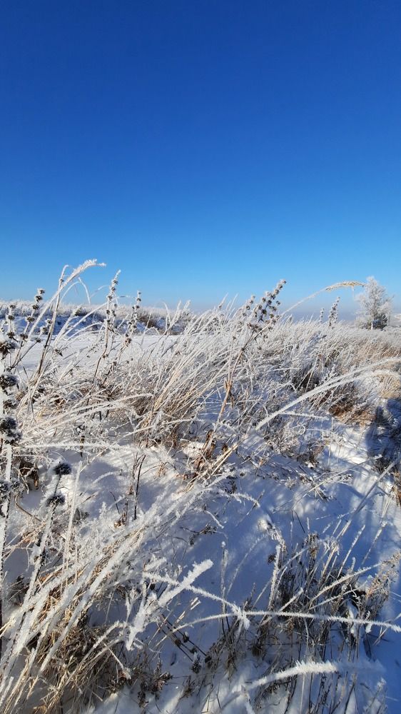 Photograph by Татьяна Курганская