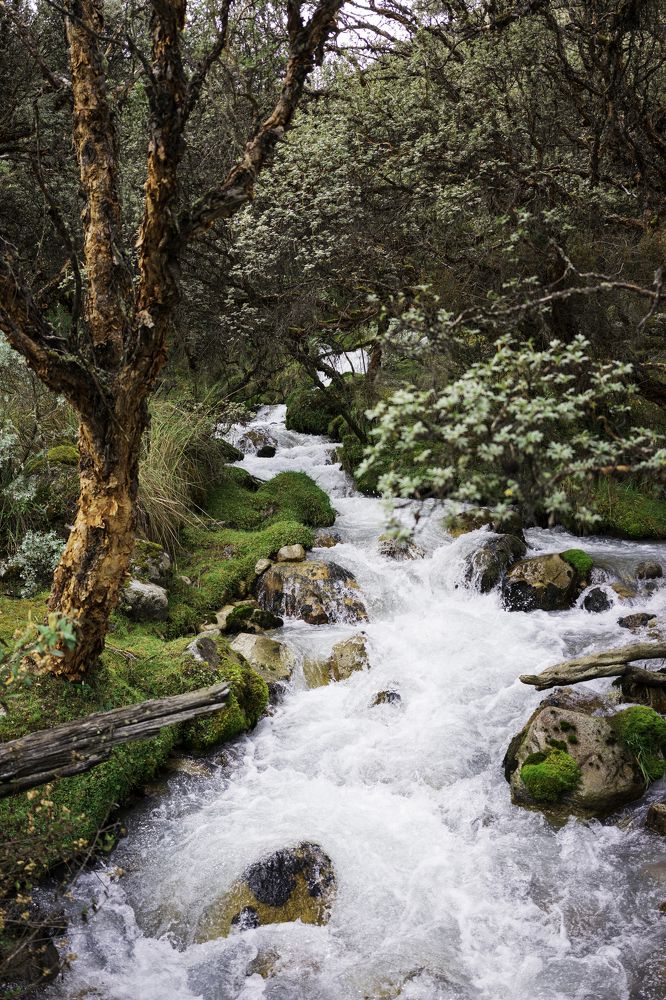 Photograph by Luis Morales Rojas