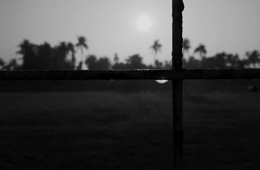 Dew on rusty iron rods