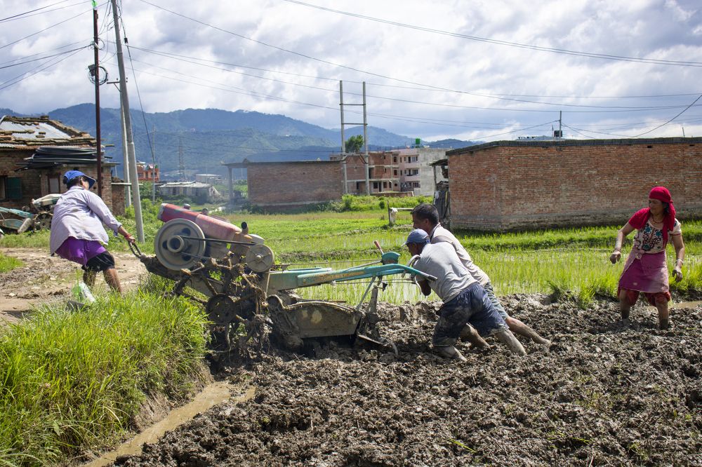 Photograph by Saurav Bajracharya